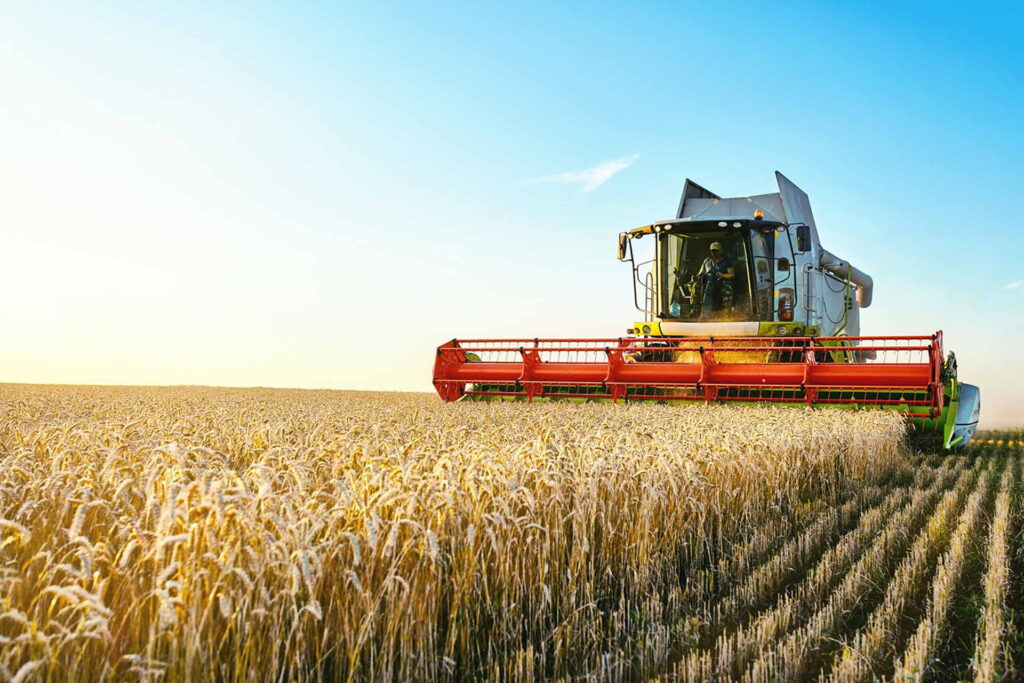 Victoria Regent Capital - Agricultural Operations and Management