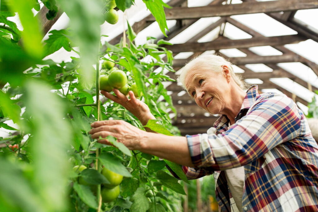 Ripe for the picking.